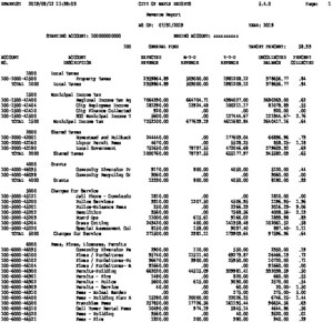 Icon of Revenue Report- July 2019