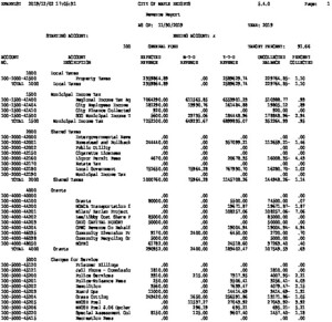 Icon of Revenue Report- November 2019