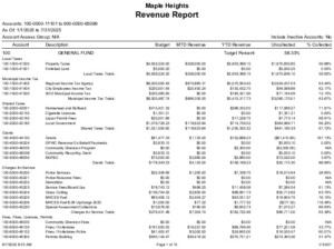 Icon of Revenue Report- July 2025