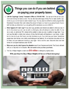 Icon of Property Tax Flyer