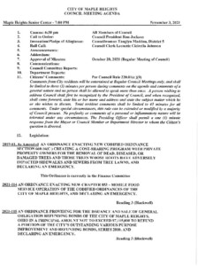 Icon of November 3, 2021 Council Packet