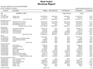 Icon of Revenue Report- January 2024